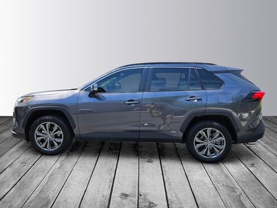2025 Toyota RAV4 Hybrid XLE Premium